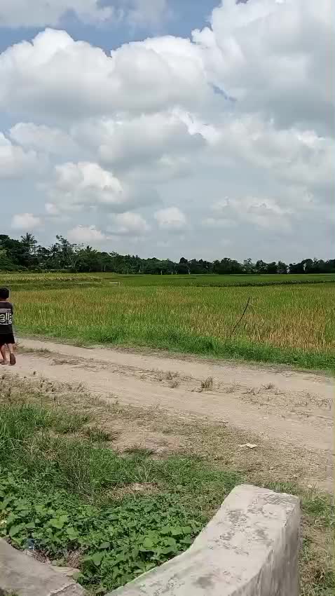 @Bang DARWIS ca77