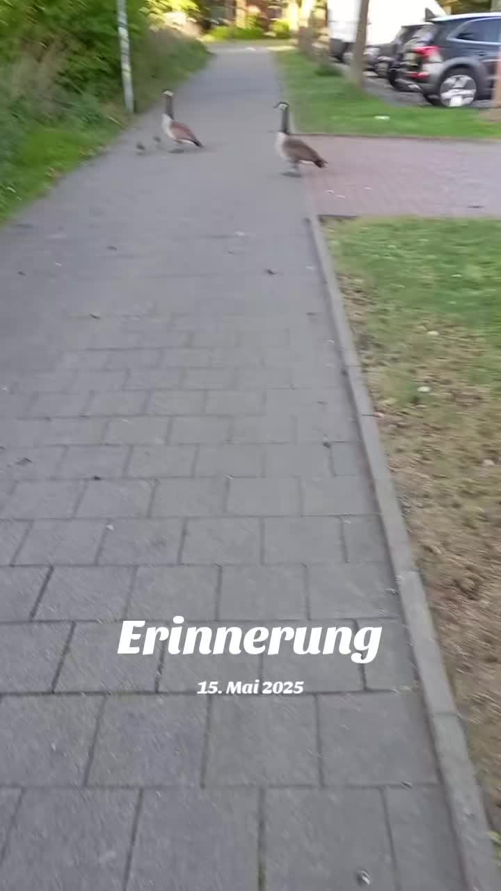 @Luca2104_05❤️🥰