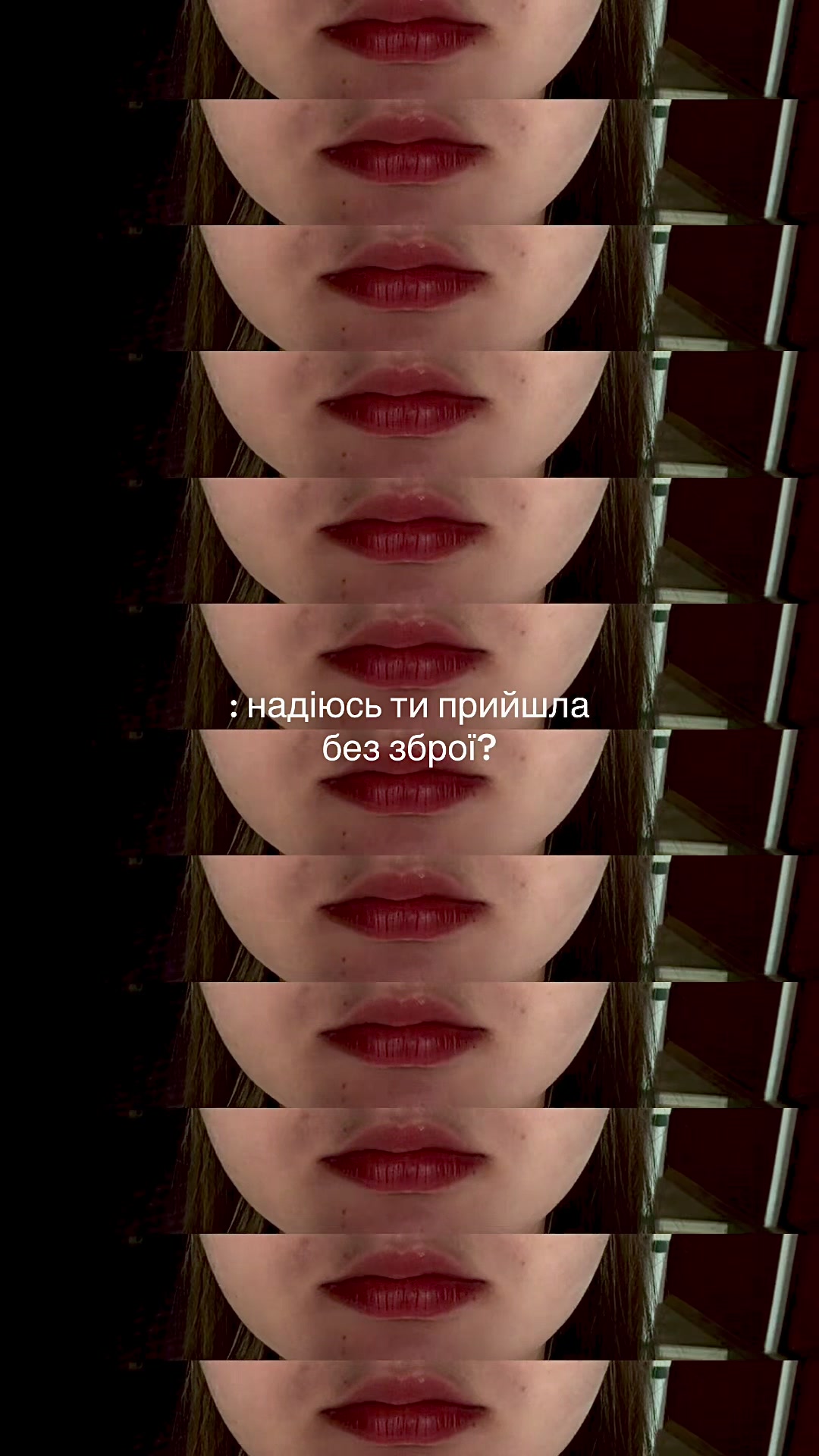 @evochka_meow