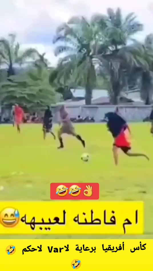 @༊෴✿👑🇩🇿نۆر✿〄࿐