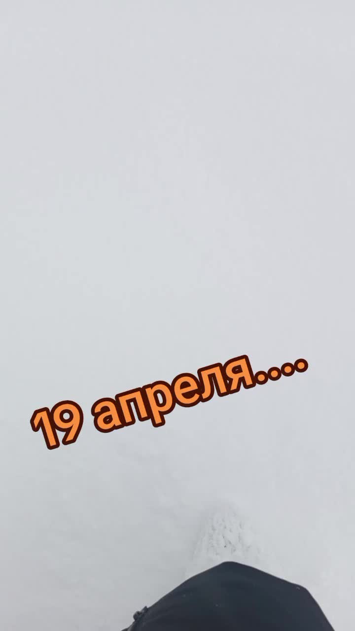 @AnacondA2640