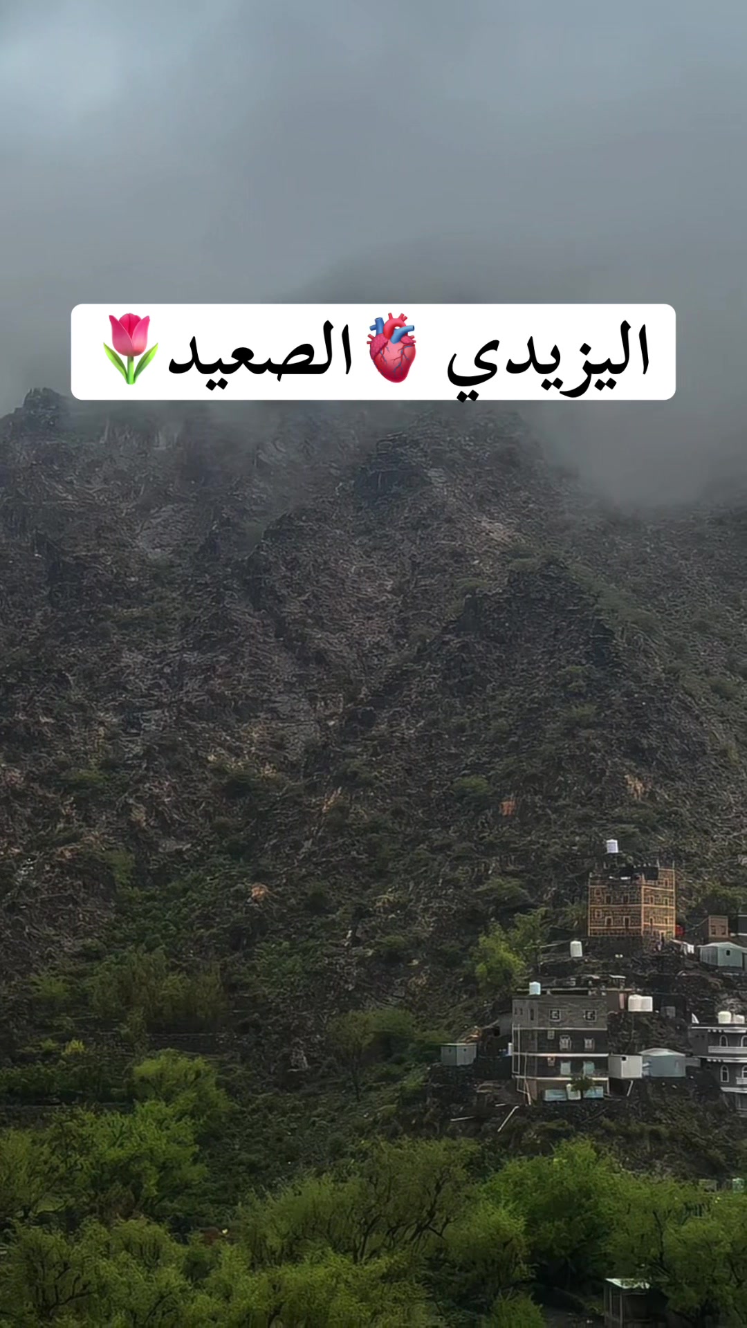 @الـ يـــــزيـــــدي🫡