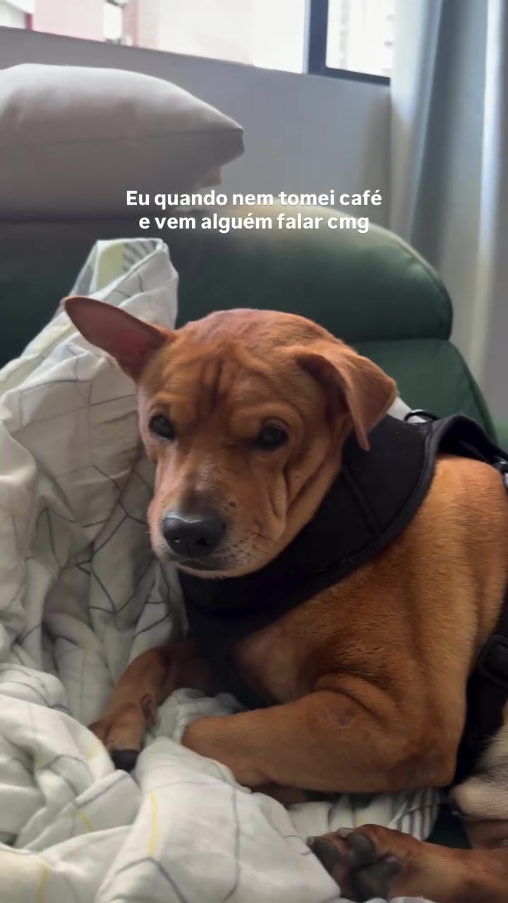 @carolzinha⭐️