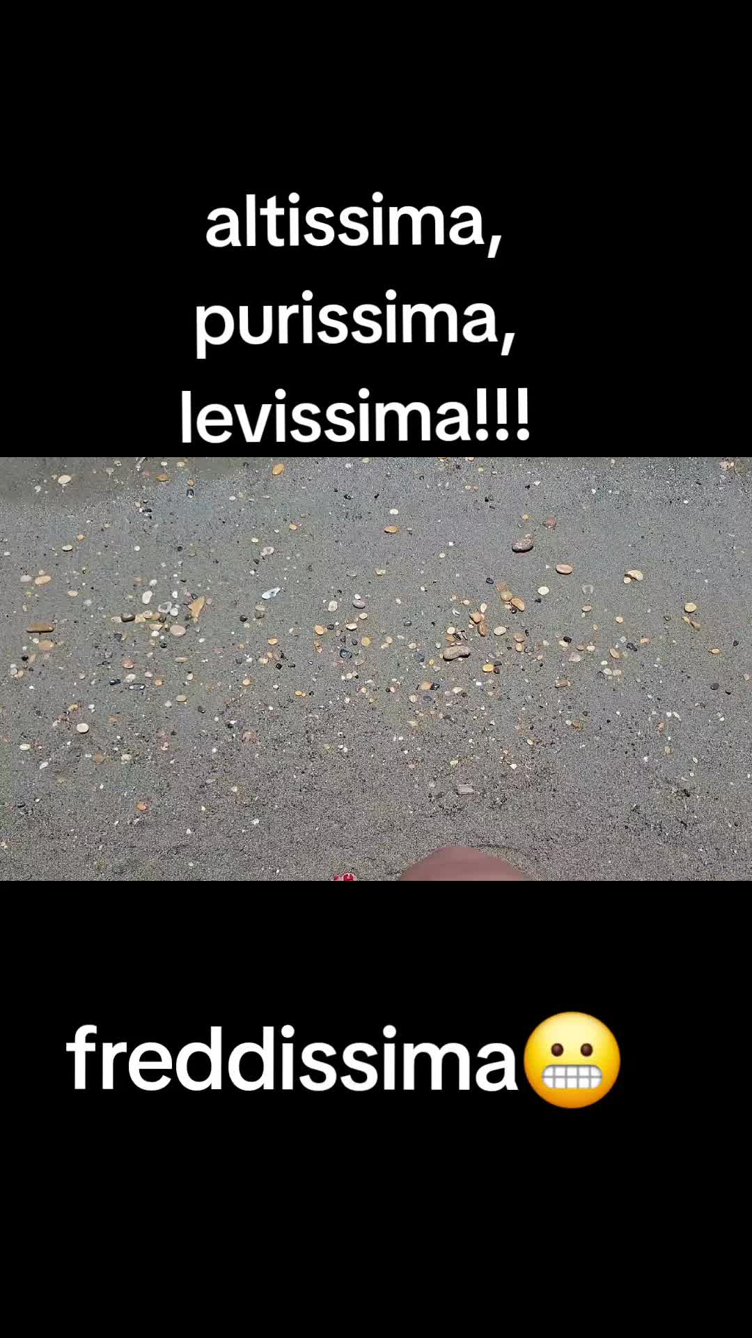 @Stella Pizzuto