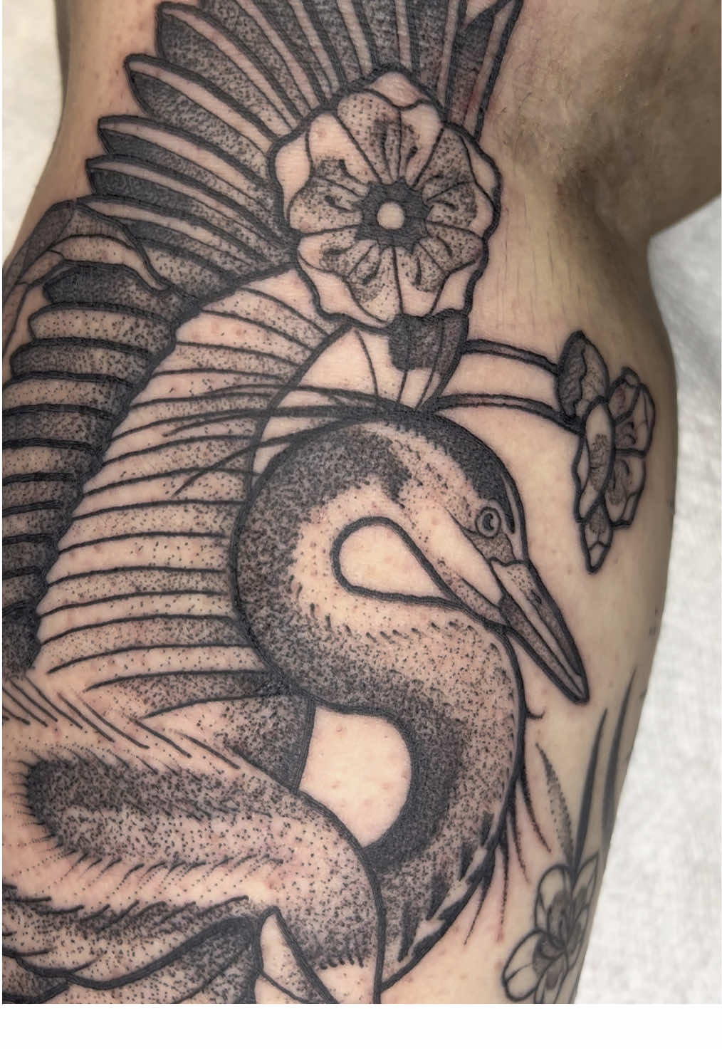 @tattoosbycaylin