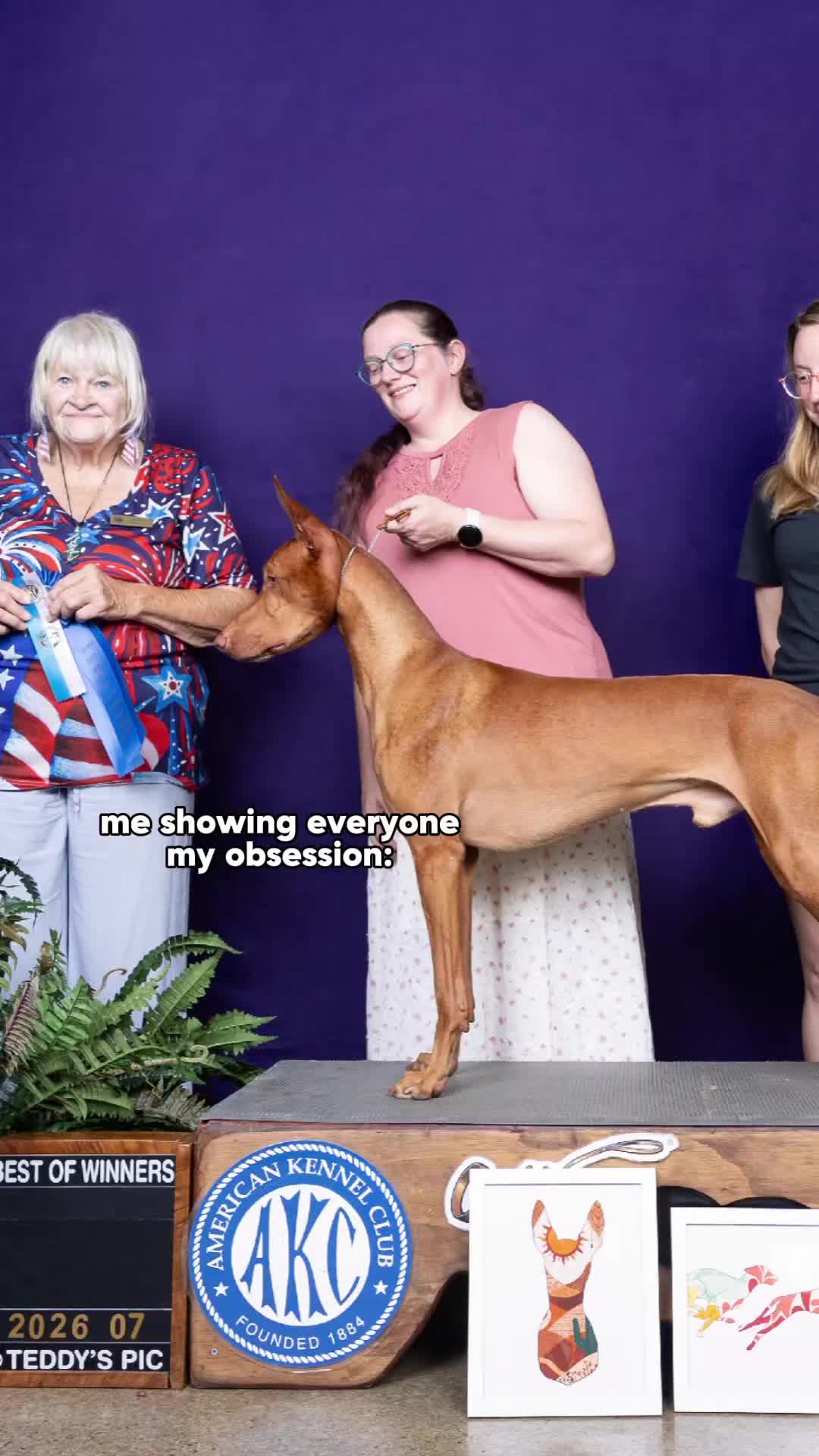 @ladyblobsandco