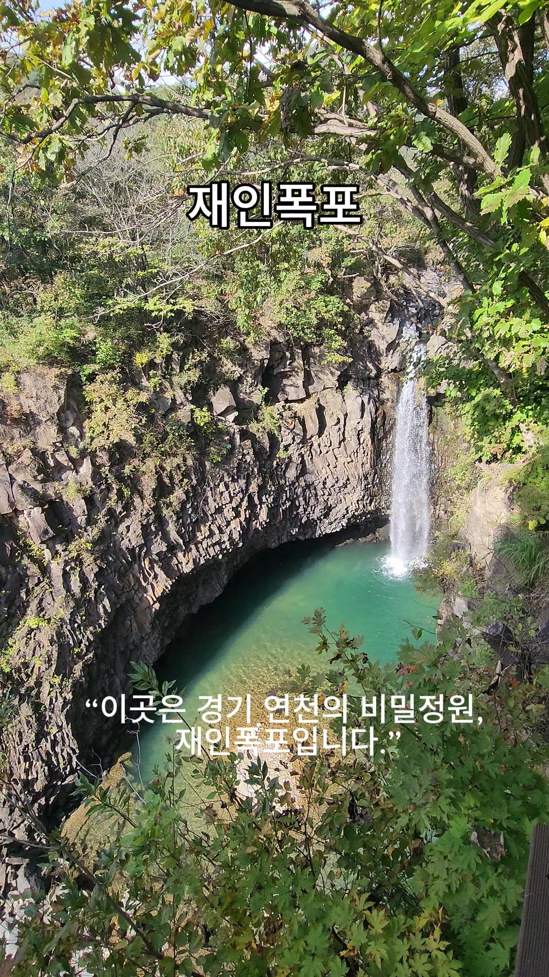 @로즈
