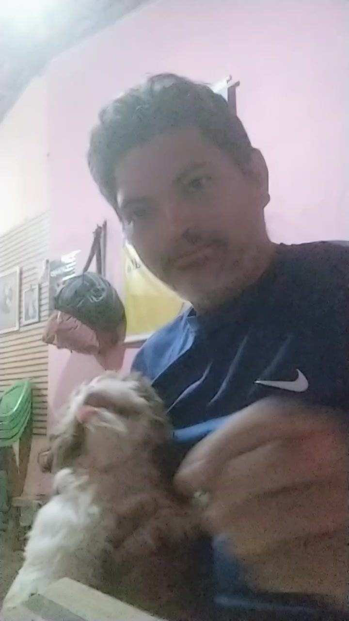 @gil_só_risos