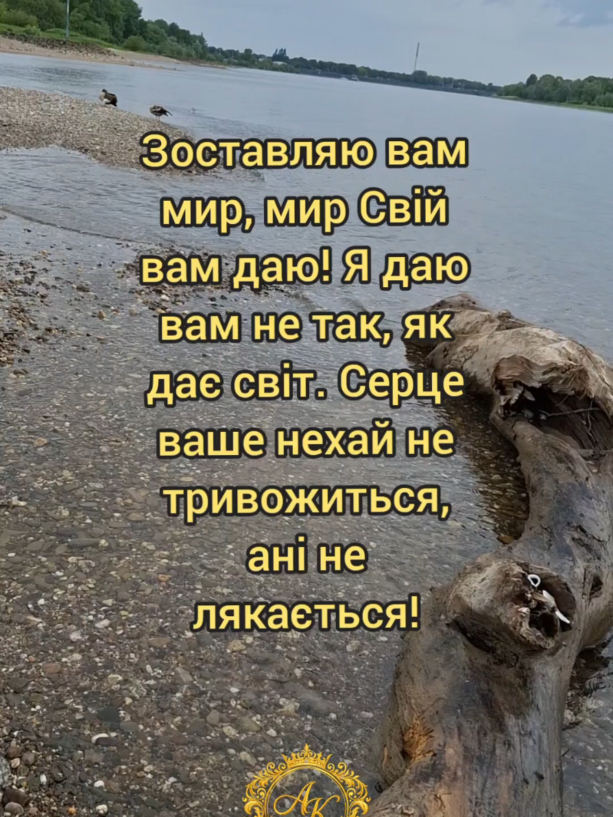 @Слова Неба