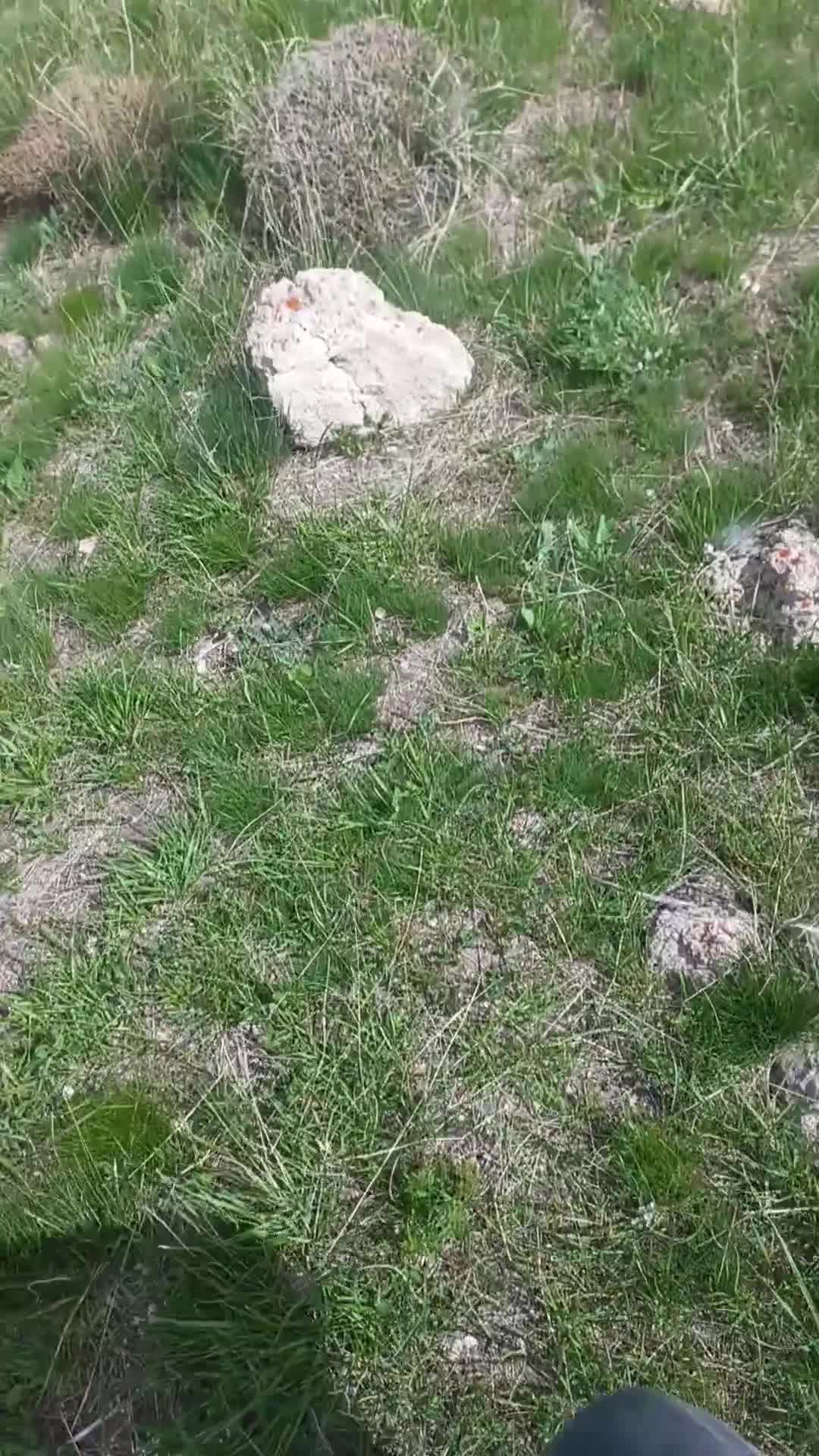 @özgür Yıldız