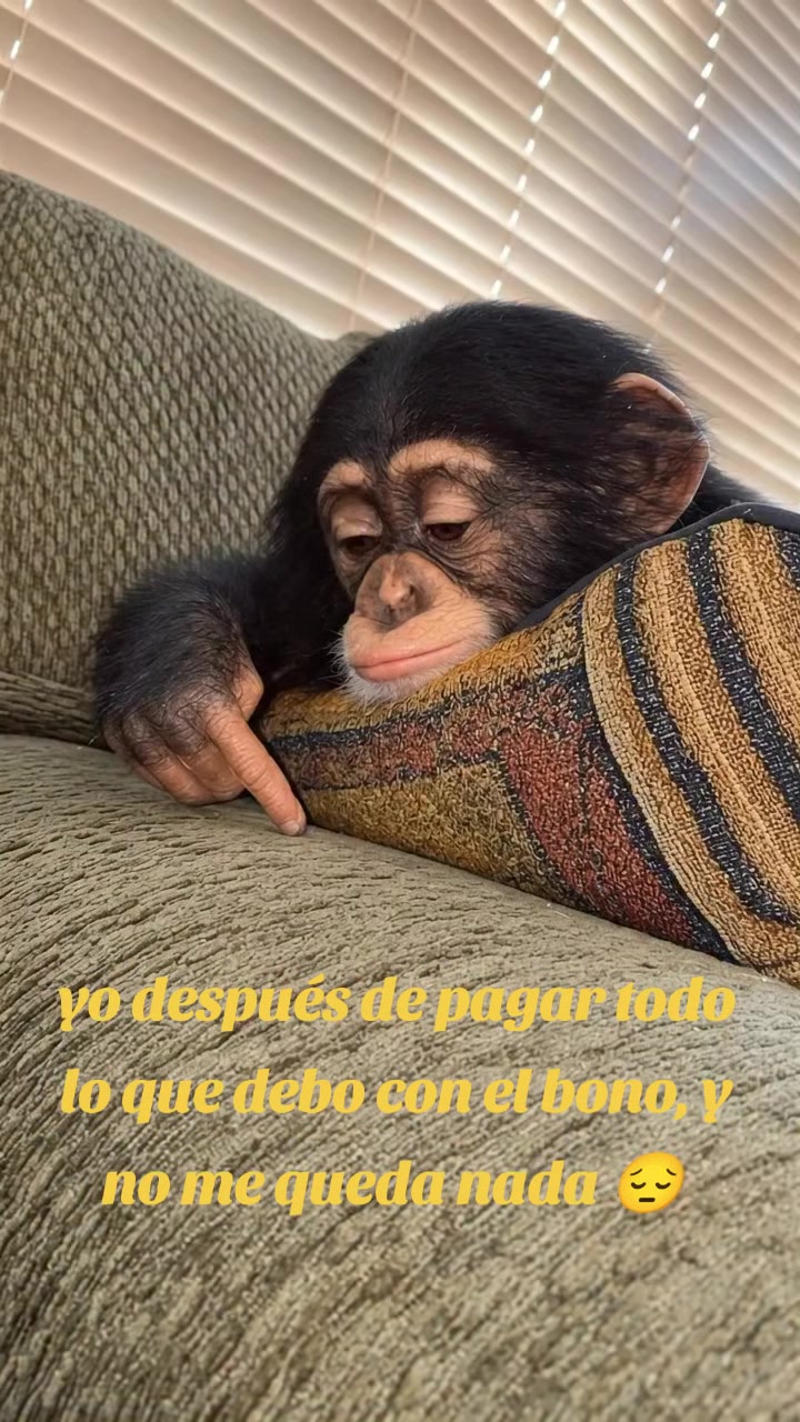 @dr_bolivarense