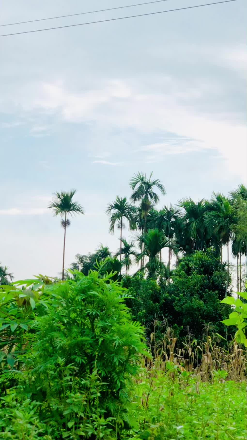 @पुनम राना मगर