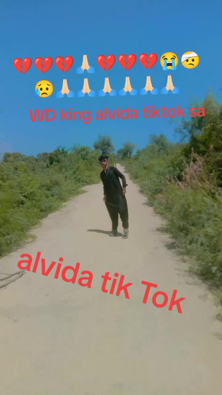 @w d king