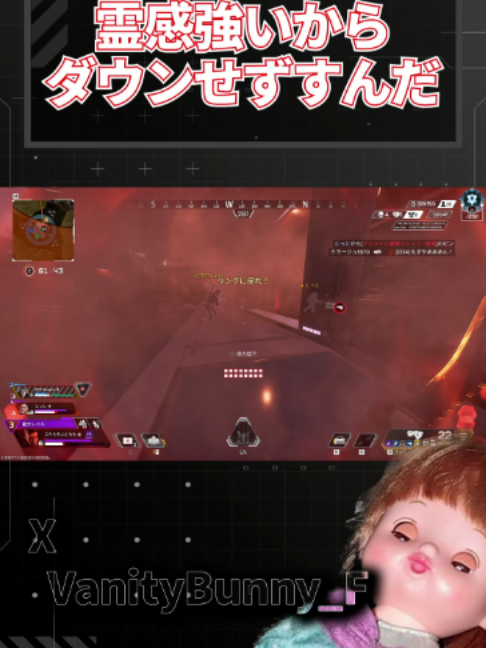 @バニー