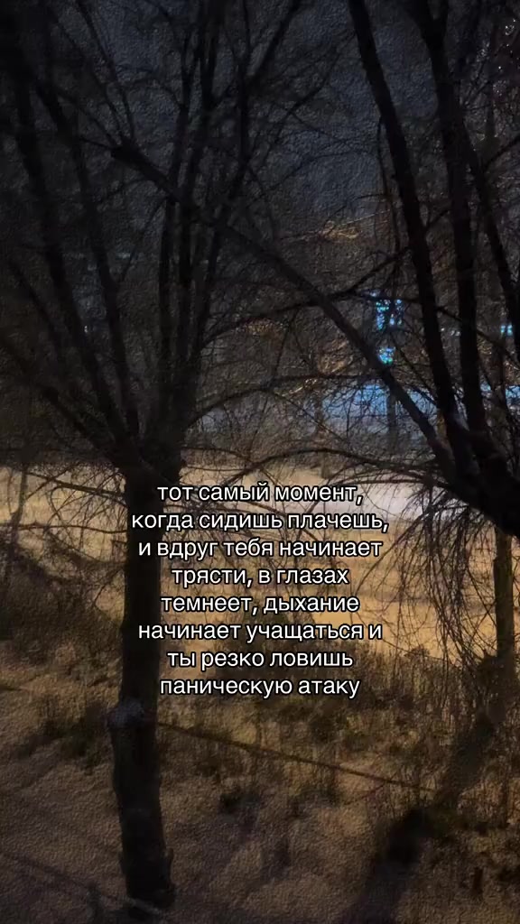 @Rodion