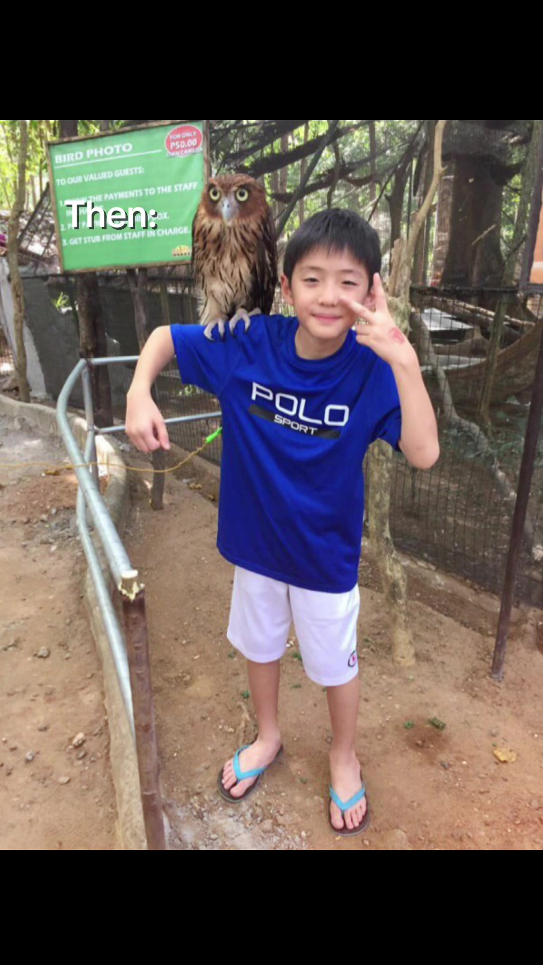 @jiho ๐พ