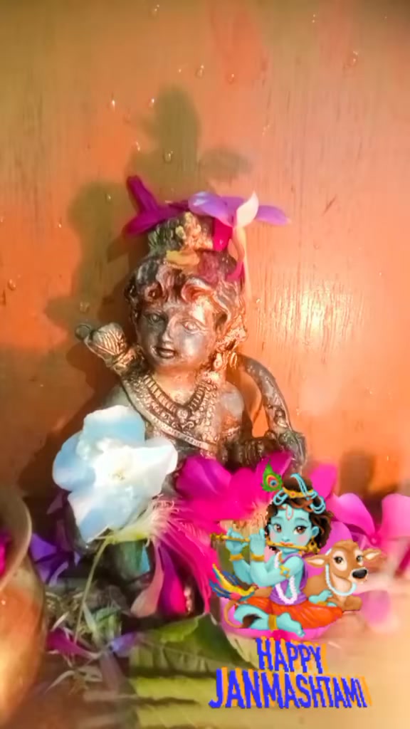 @renu_sharma1174