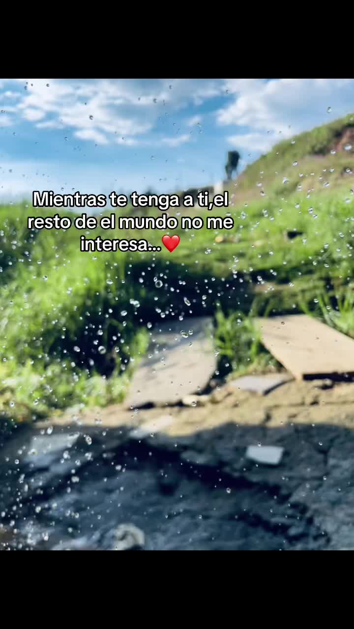 @cn_bris