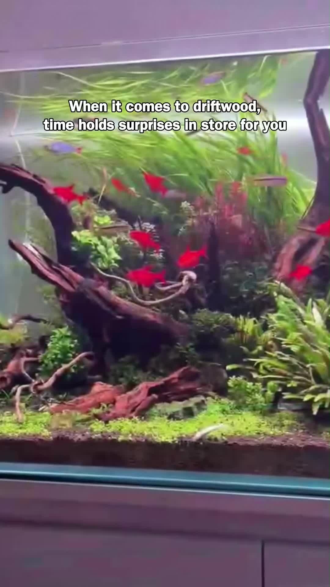 @AquaBunny