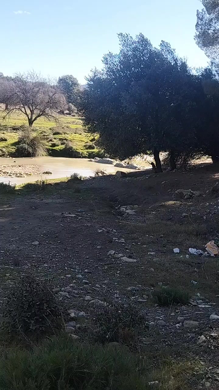 @Didou Guenis