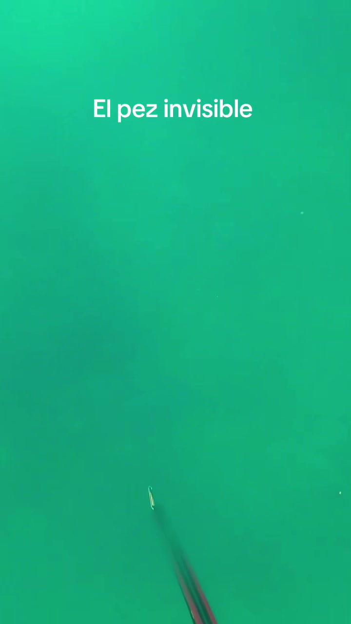 @dentristan_