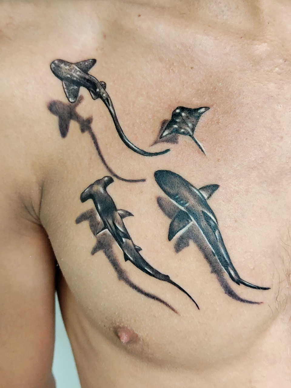 @Tattoo Šareni