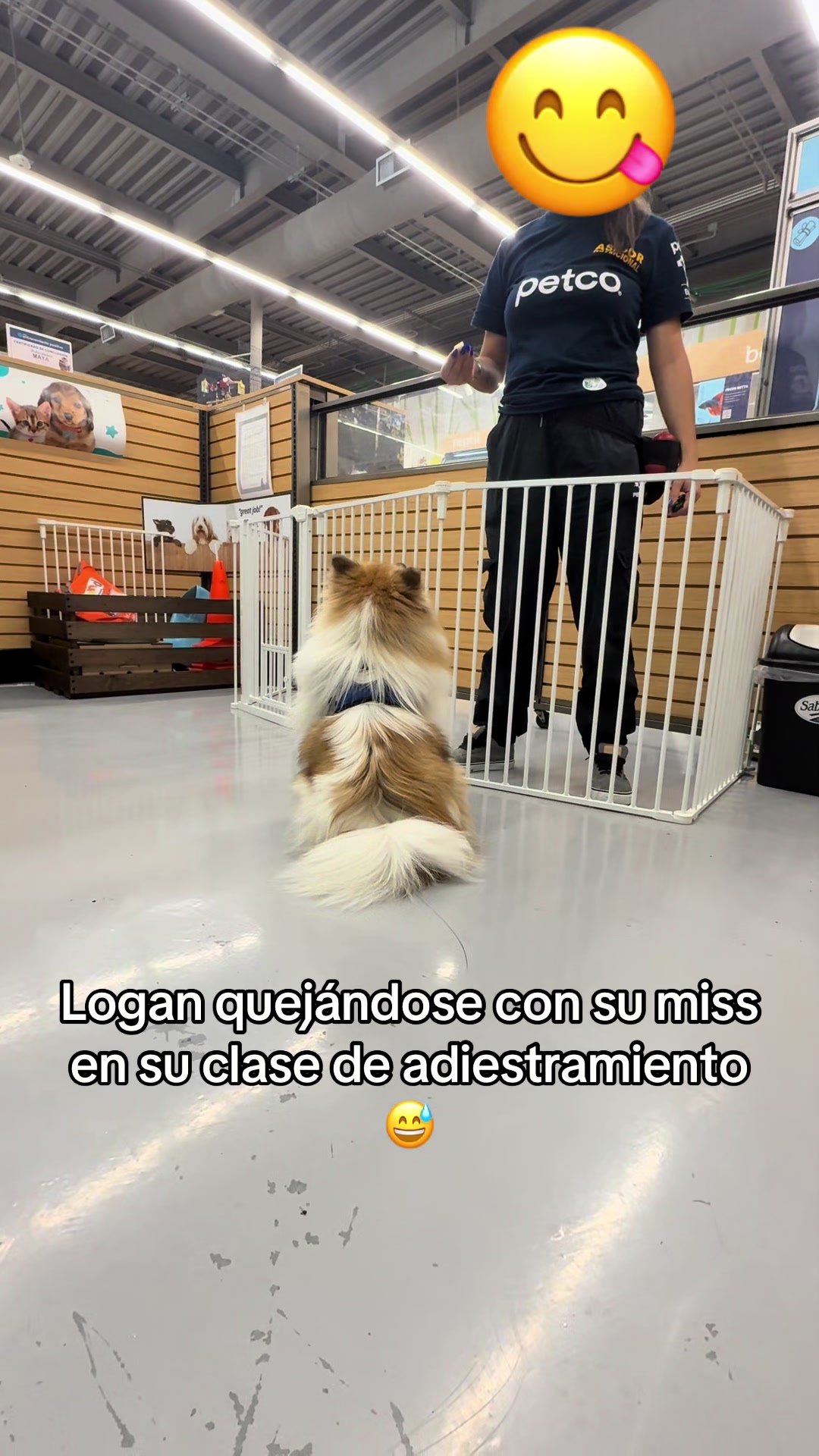 @Dallana y Dexter🐶