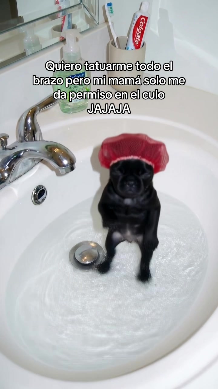 @Oscar
