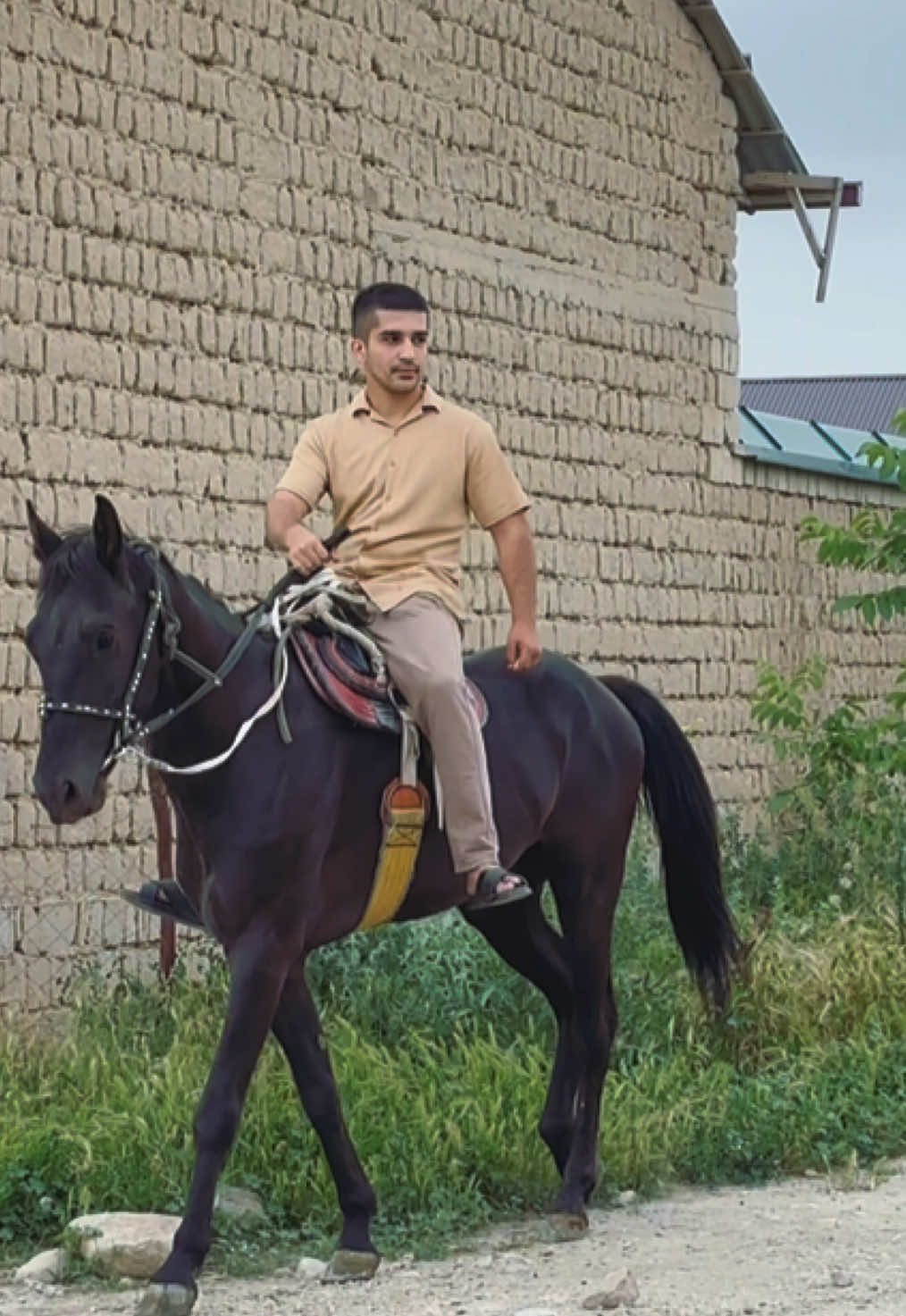 @a.a.aliyev_001