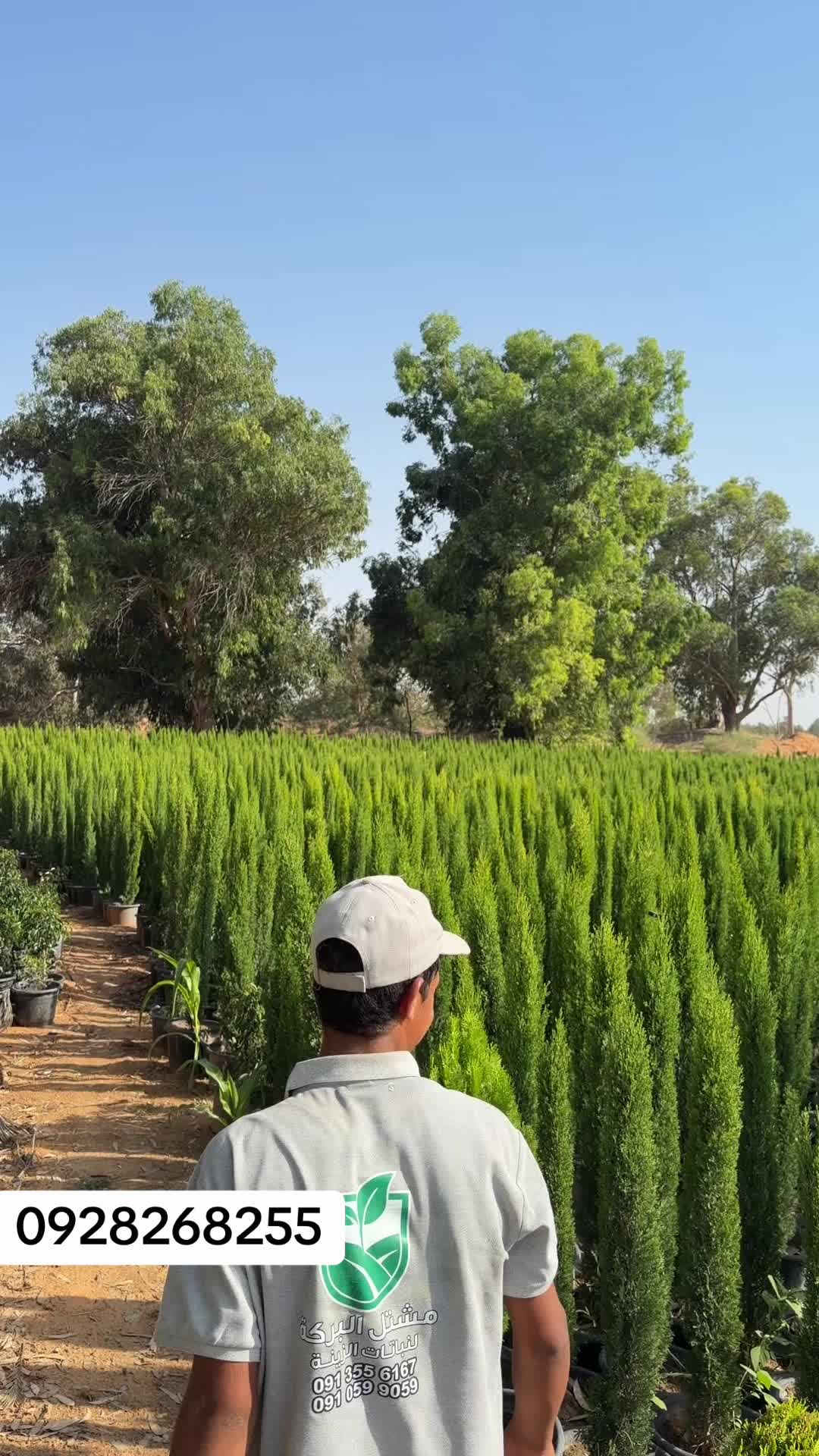@مشتل البركة