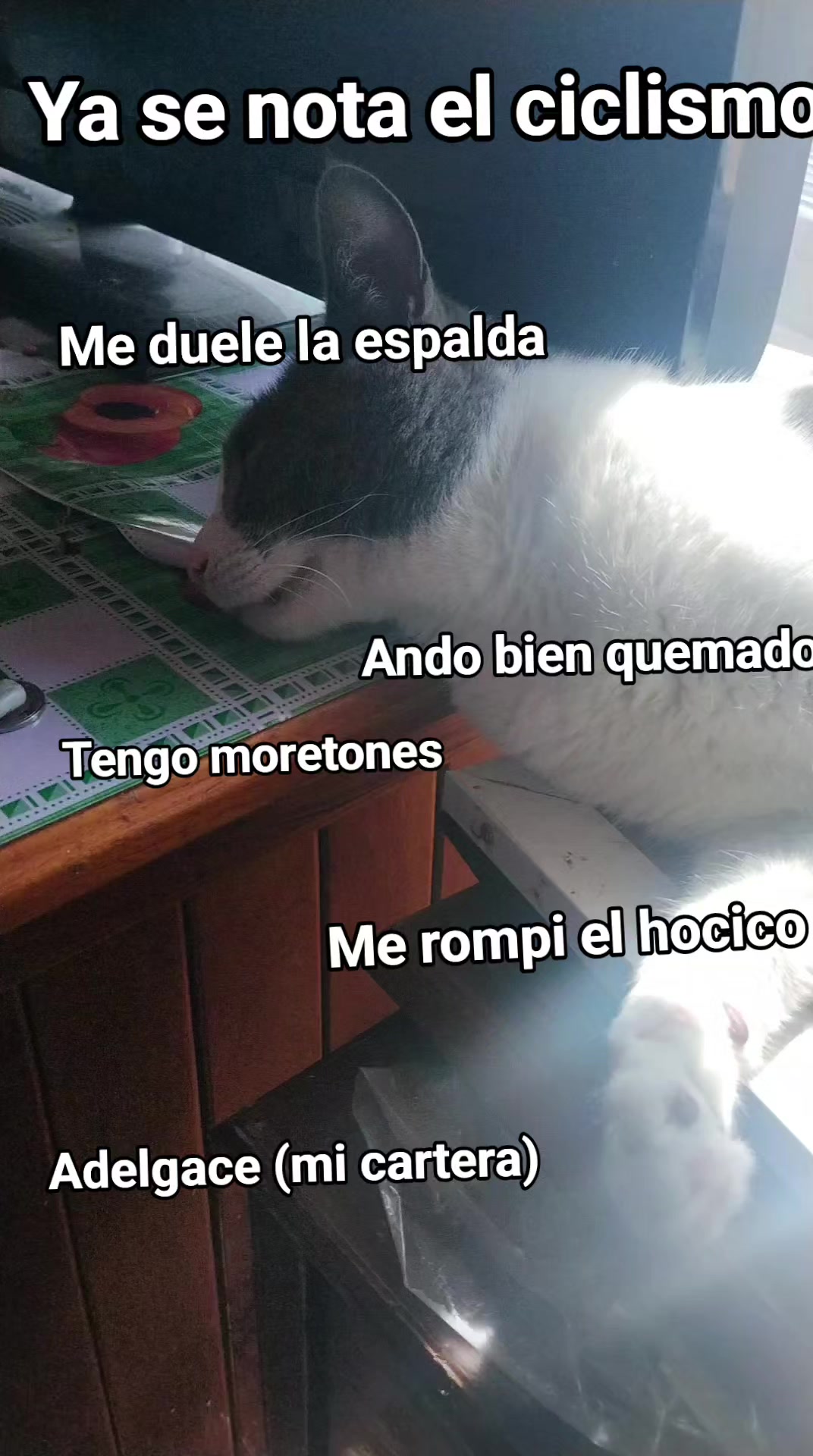 @Oscar Omaña