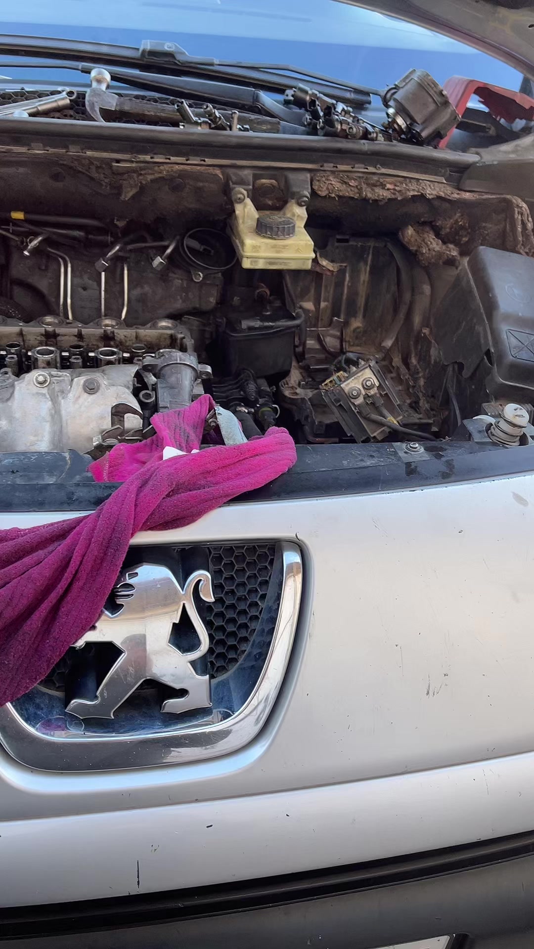 @Hicham auto Laghouat