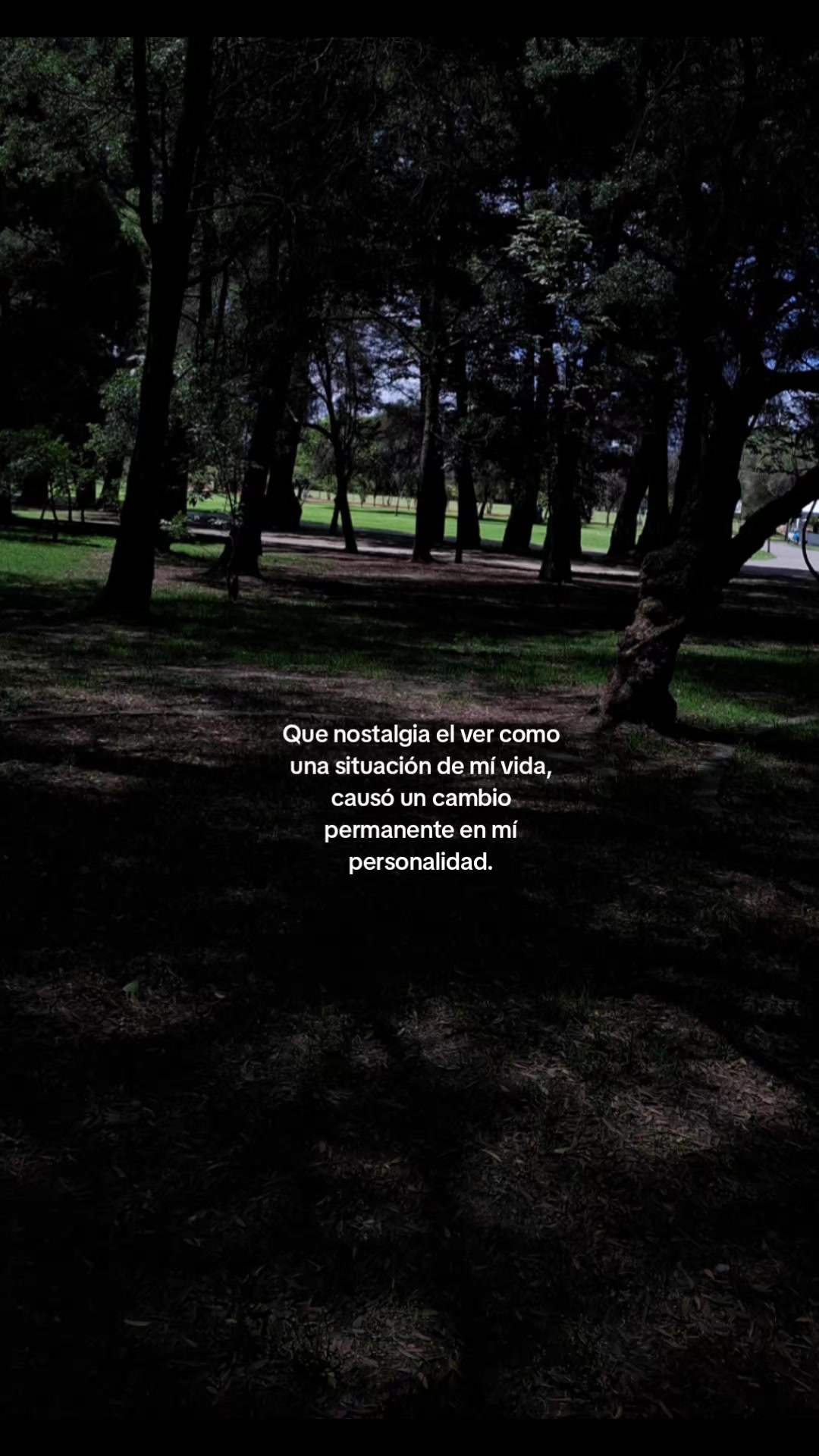 @𝑭𝒆𝒆𝒓 🌸