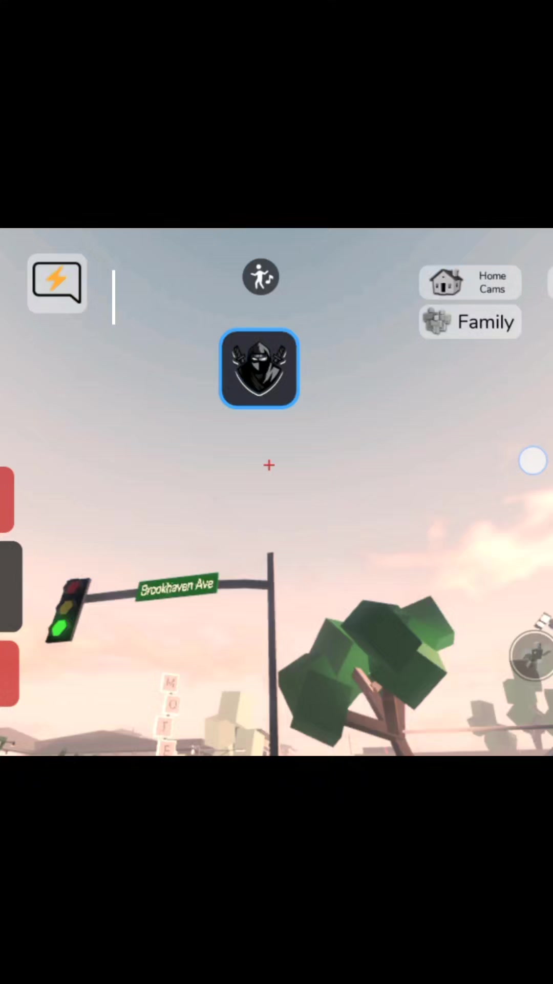 @Roblox_player