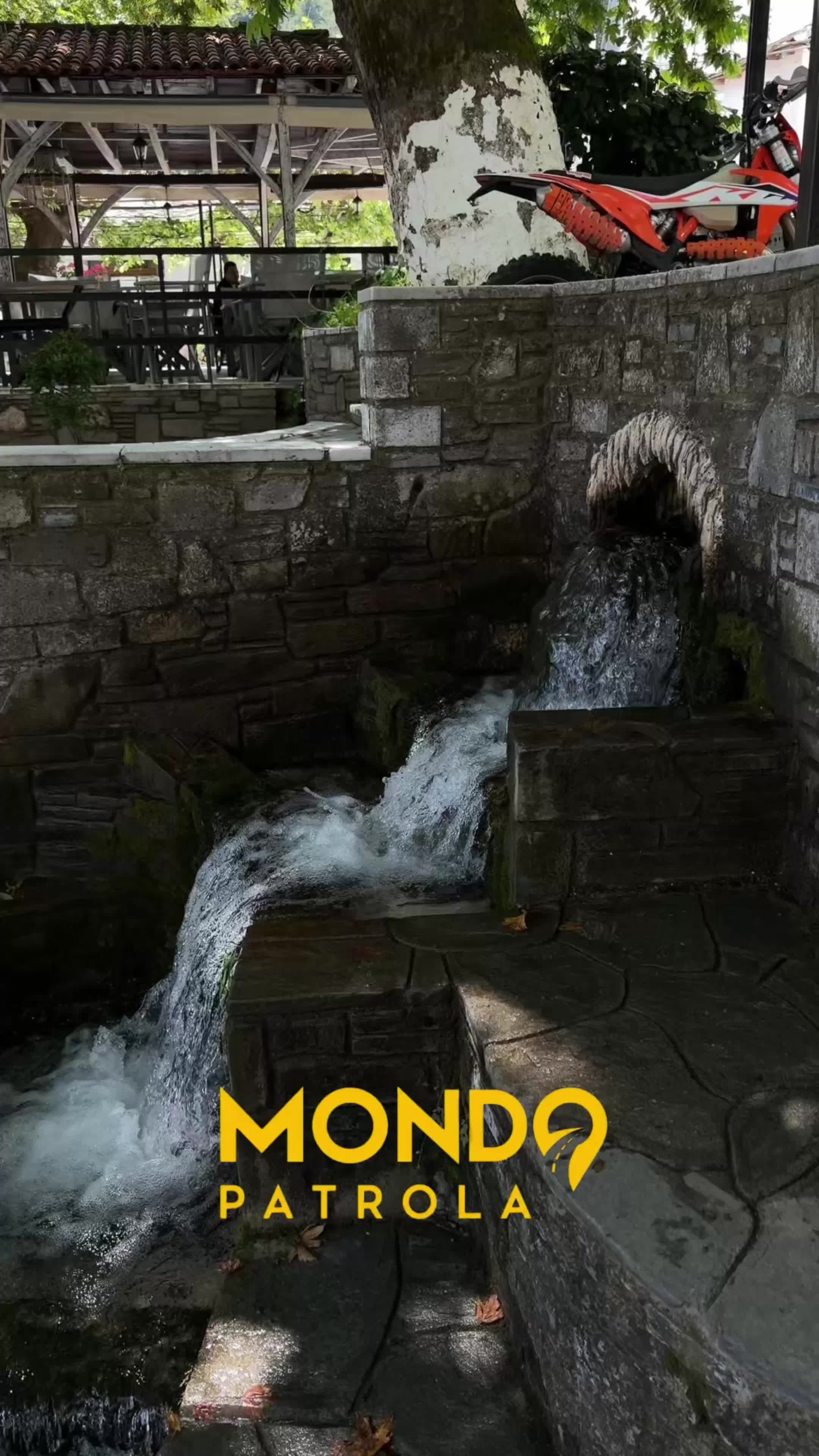@Mondo Portal