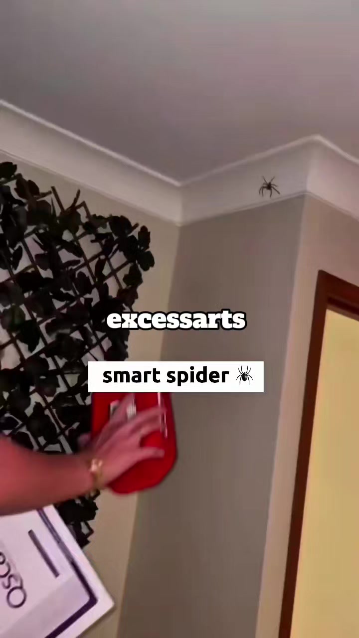 @Excess Arts Must Shine