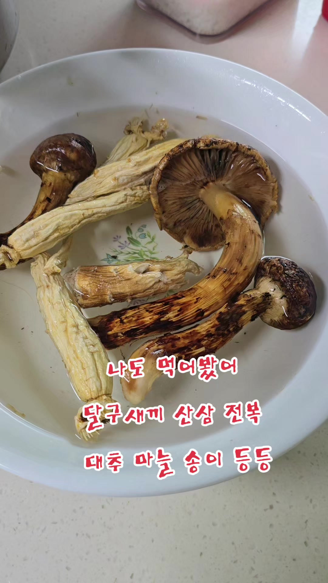 @나는 자연인이다 ~🤪