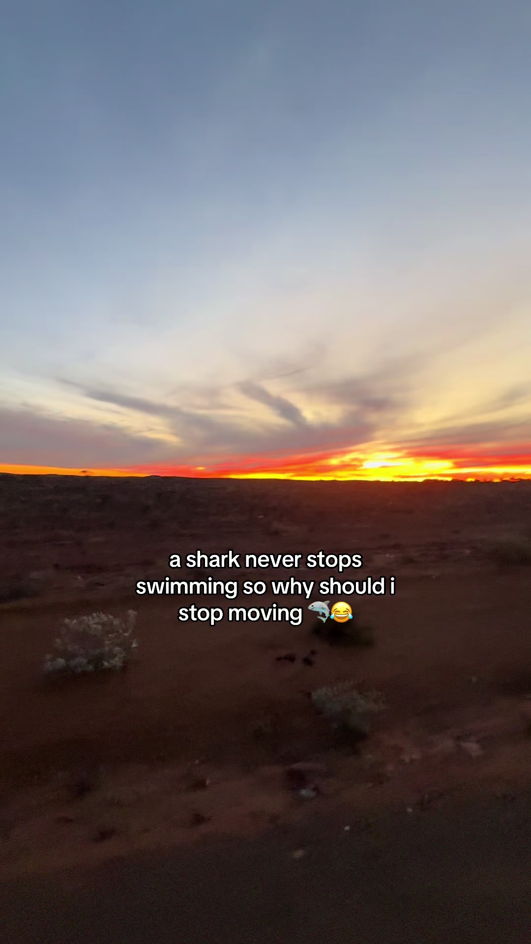 @ryallsykes