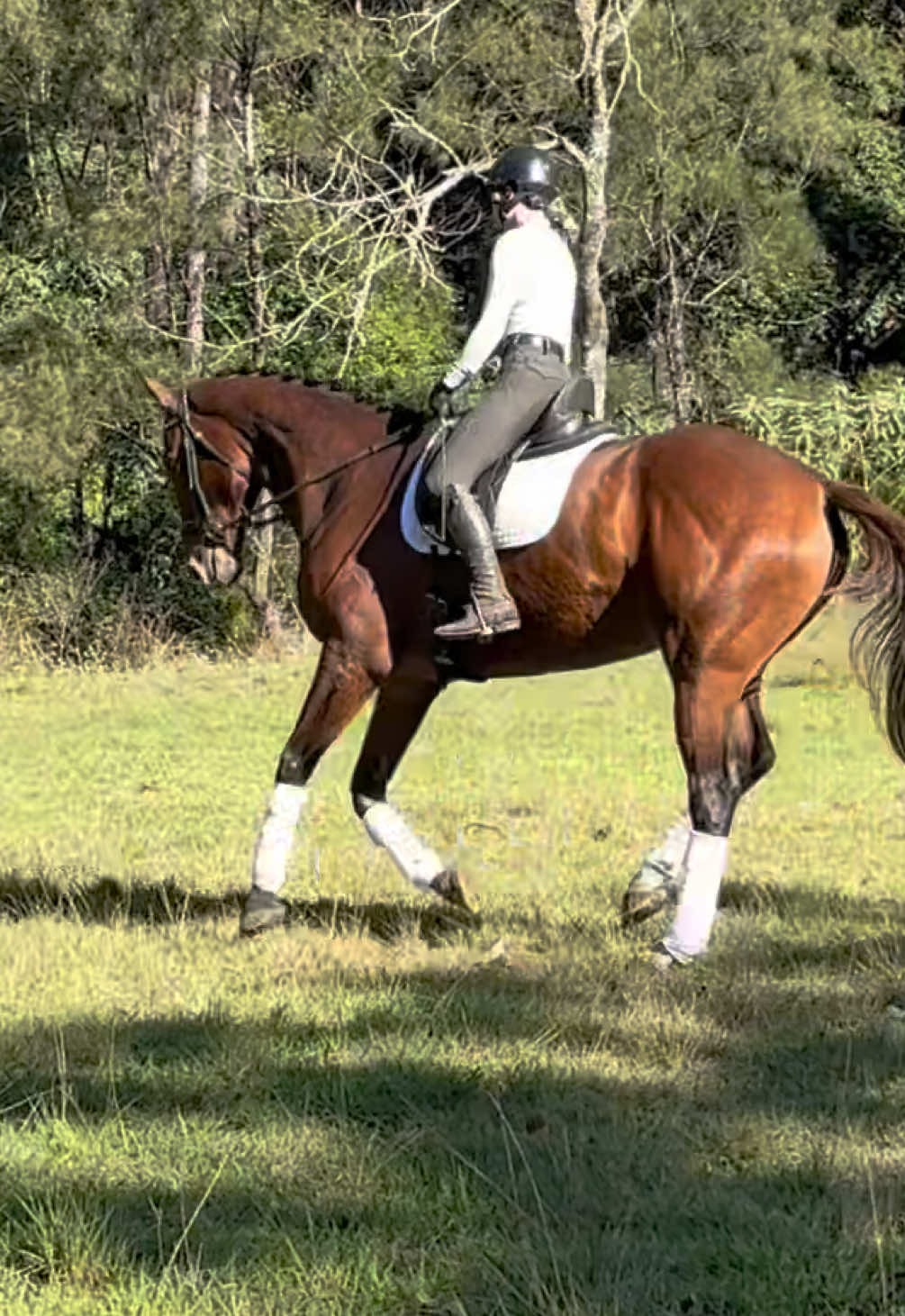 @Double F Performance Horses