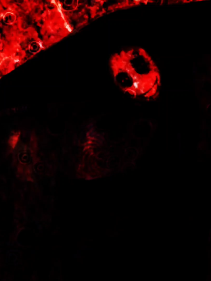 @Parasitus Machinarum