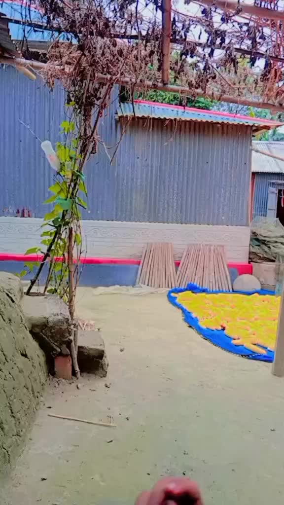 @গ্রামের বাংলার দৃশ্য