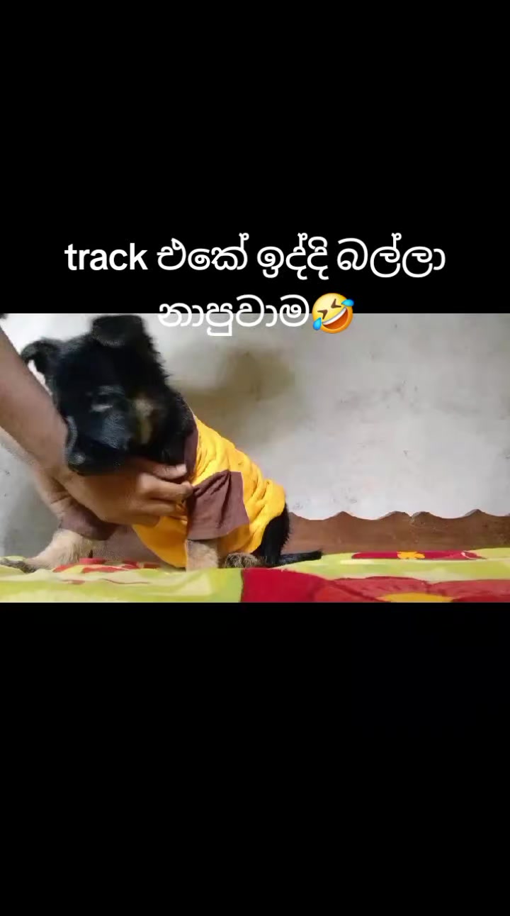 @mahi baba❤️🤭