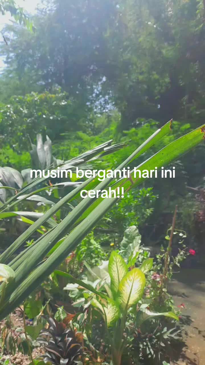 @Enna Hayer Feoh Anin