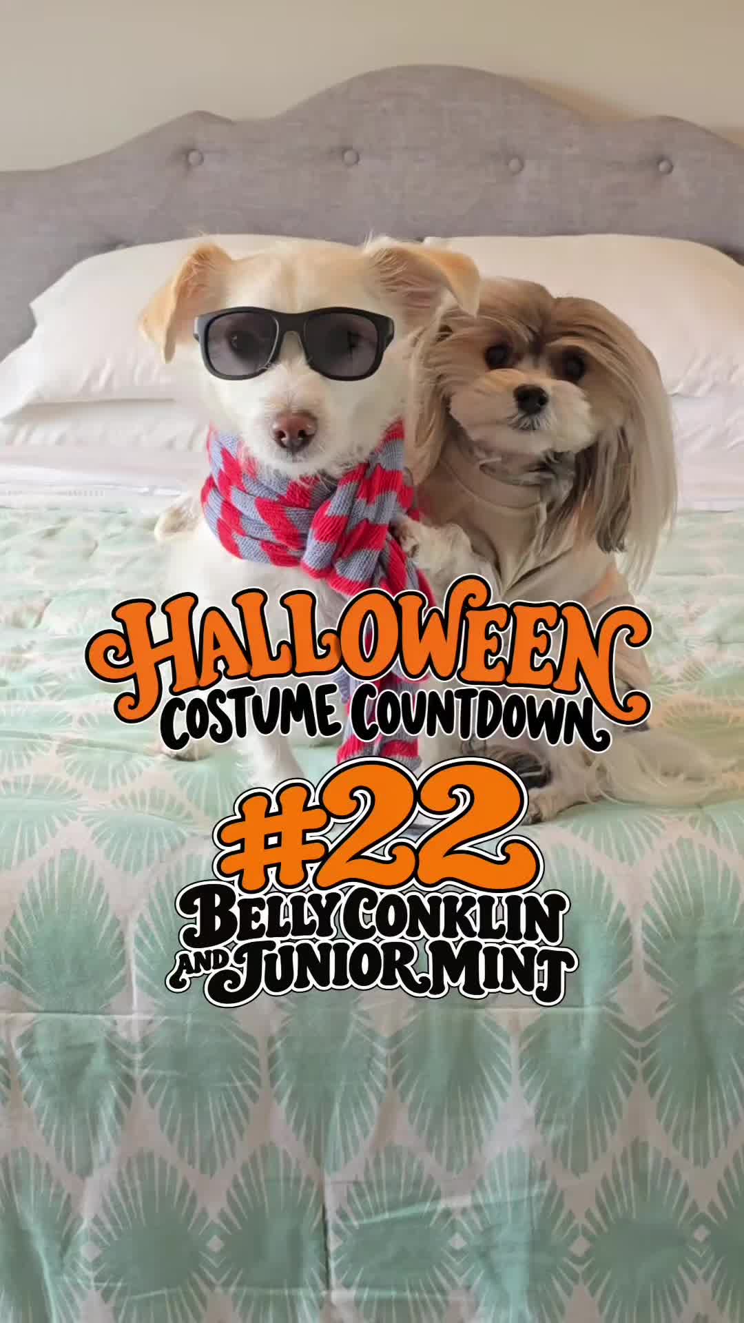 @Peake Pups