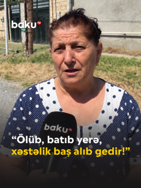 @baku.tv