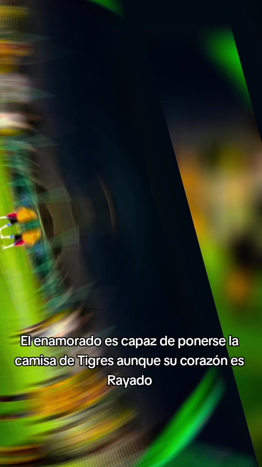 @Nohemí Piña Rangel