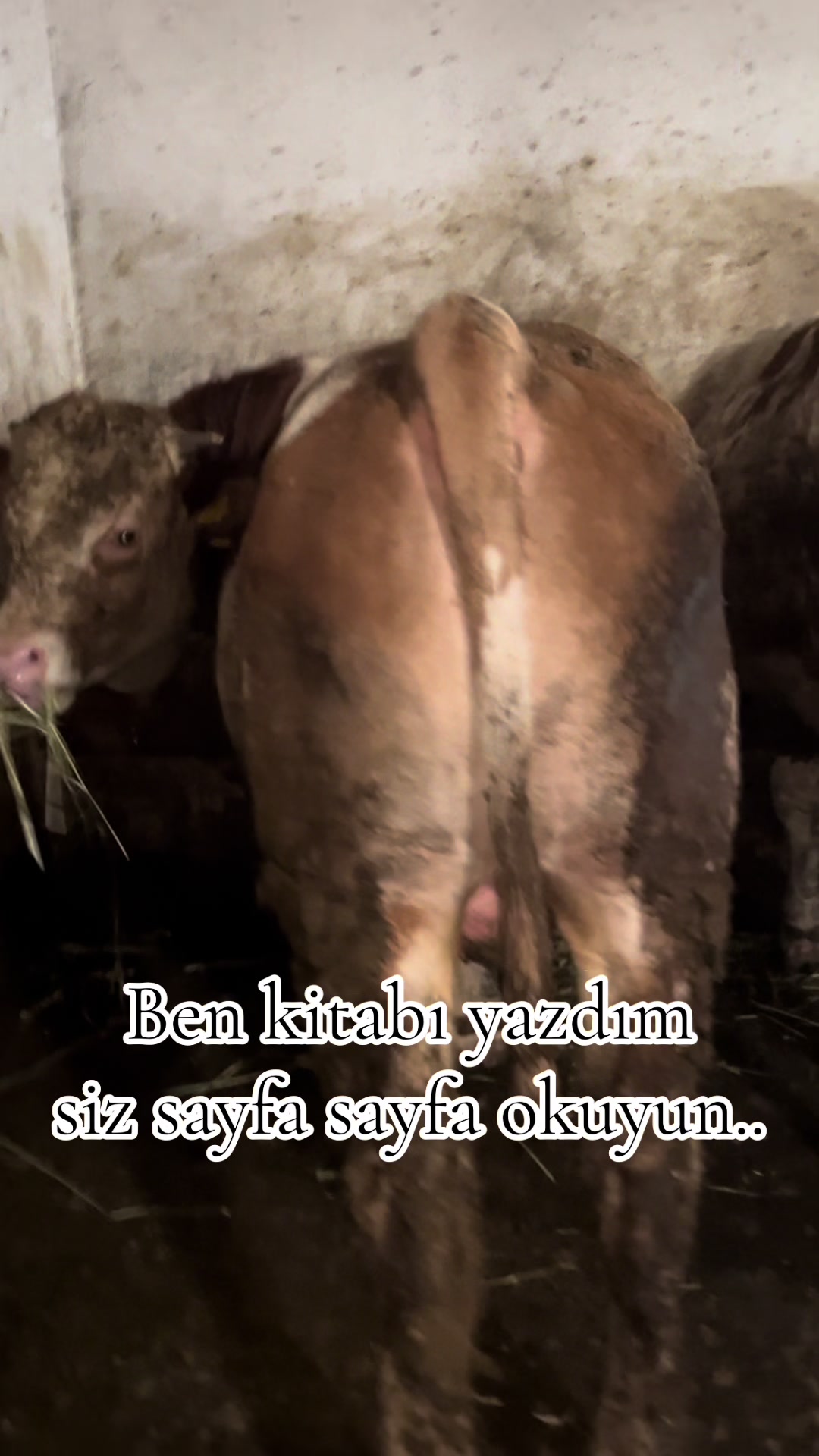 @BURKAY DEMİRBAŞ