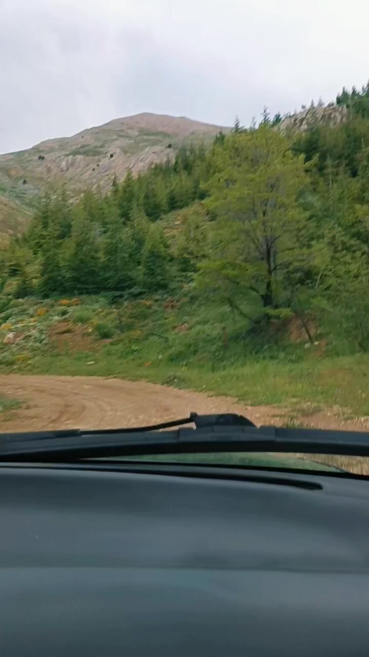 @DAĞCI.46