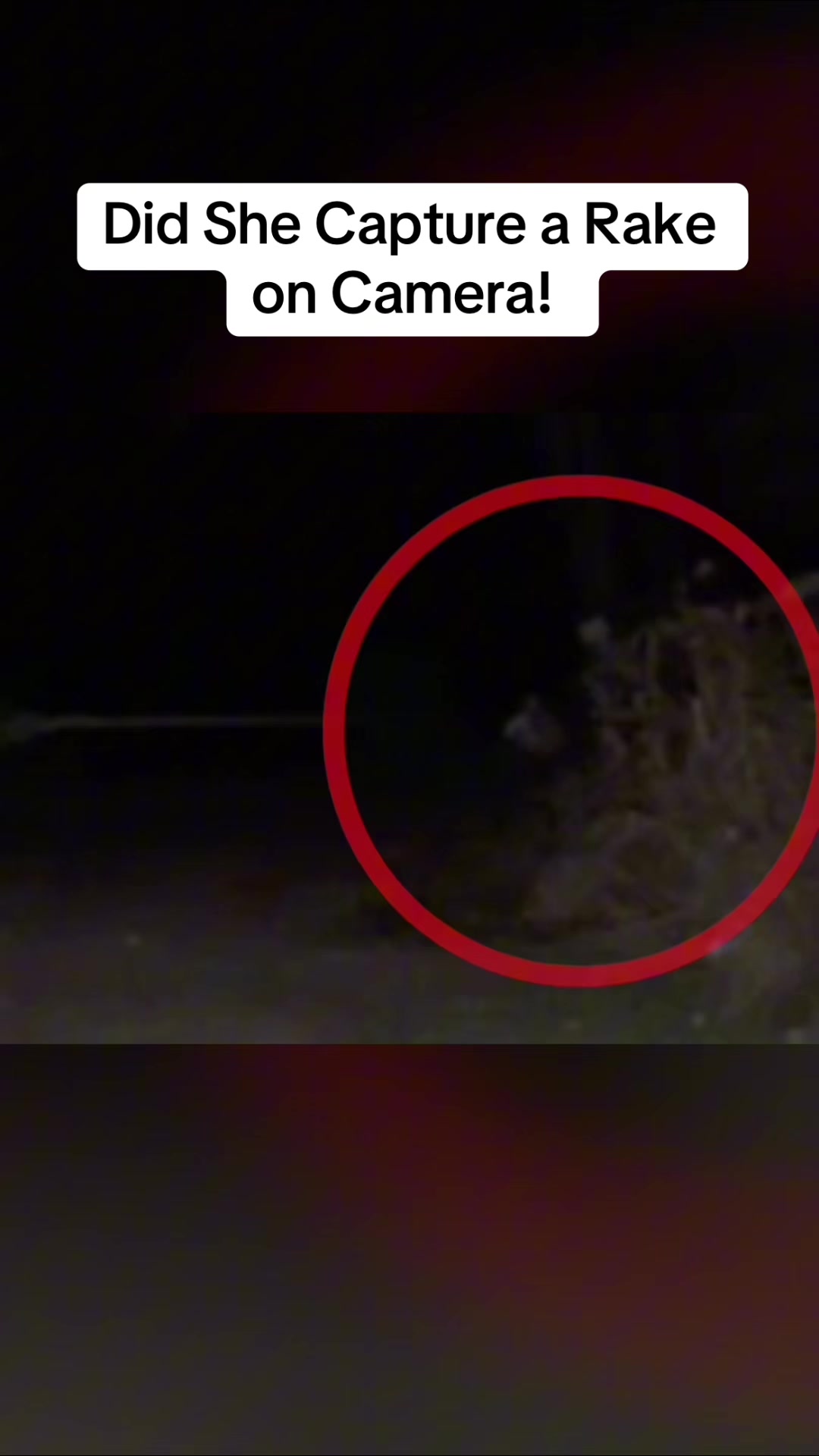 @ParanormalArchives