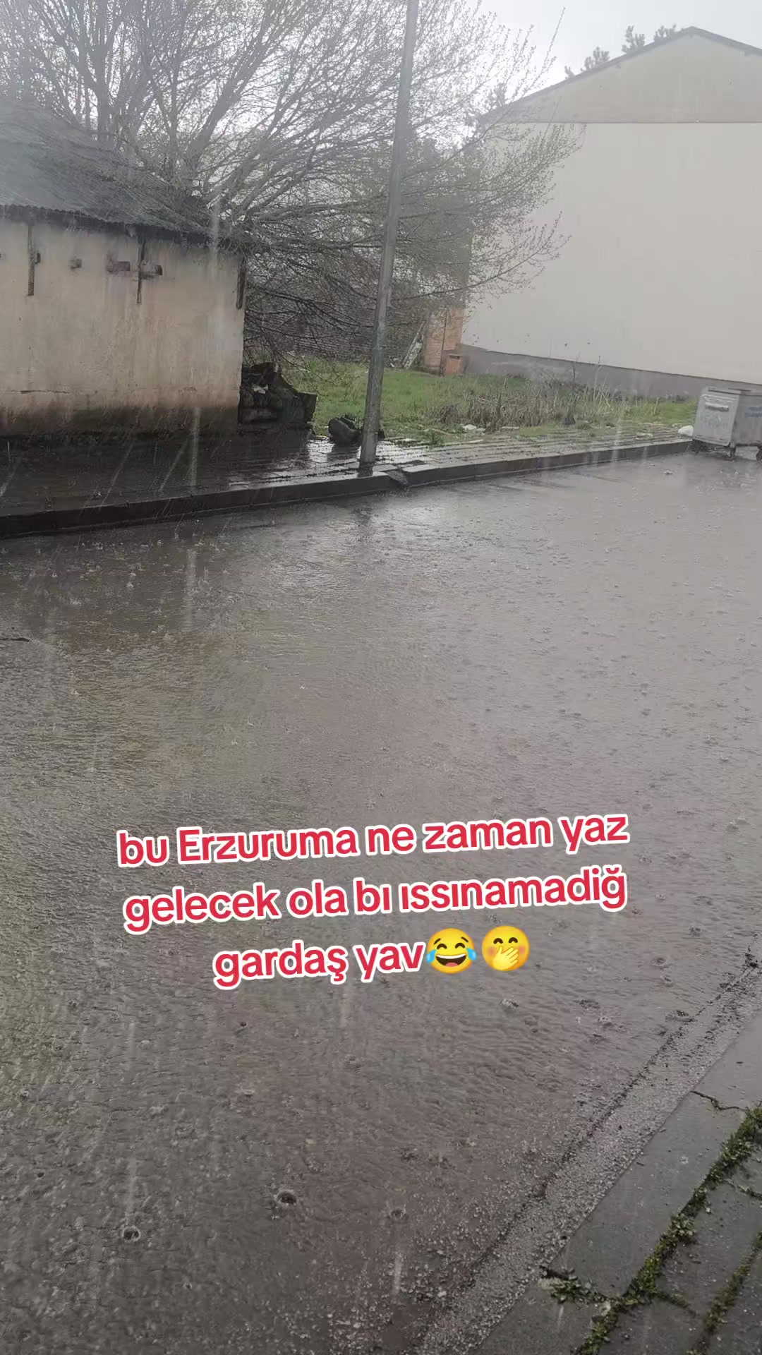 @⚡Asi25⚡